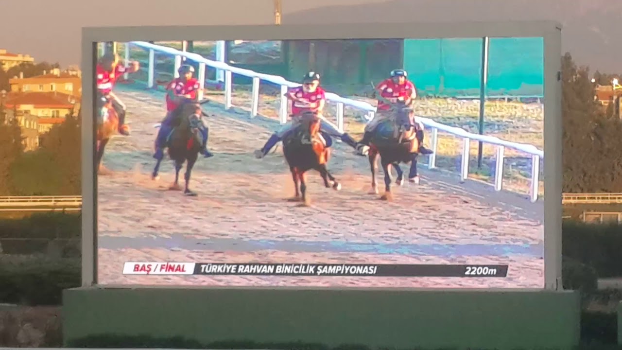 Rahvan at yarışı sapiyonasi 2017 baş atlar birinci Hüsam Jokeyi yaşar sen ile