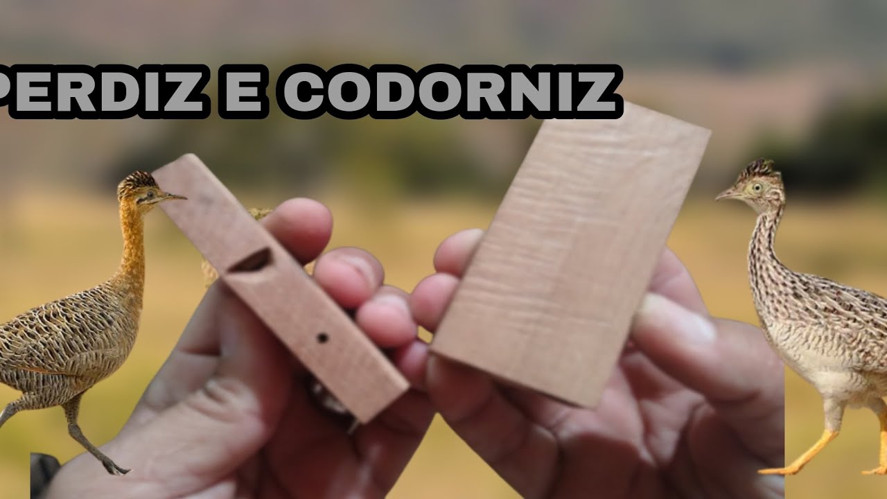 COMO FAZER UM CHAMA PRA ATRAIR PERDIZ E CODORNIZ EM UM SIMPLES PEDAÇO DE MADEIRA