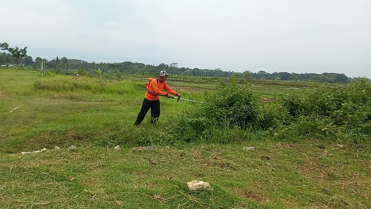 Sore ini..tetap jaga kondisi karena puasa...supaya tidak batal..