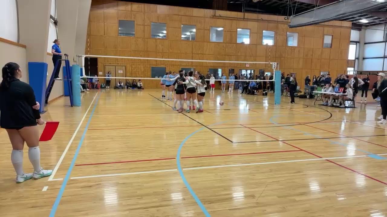 Athena 16 Black vs Excel 16-1