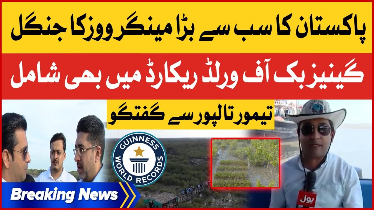 Pakistan Largest Mangrove Forest | Forest Minister Taimur Talpur Talk To BOL | Breaking News