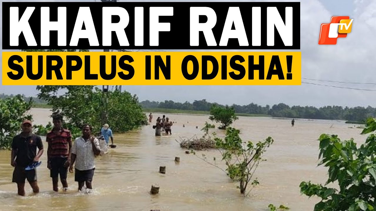 Kharif Rainfall Exceeds Forecast In Odisha, Floods Threaten Crops In Some Parts | OTV News English