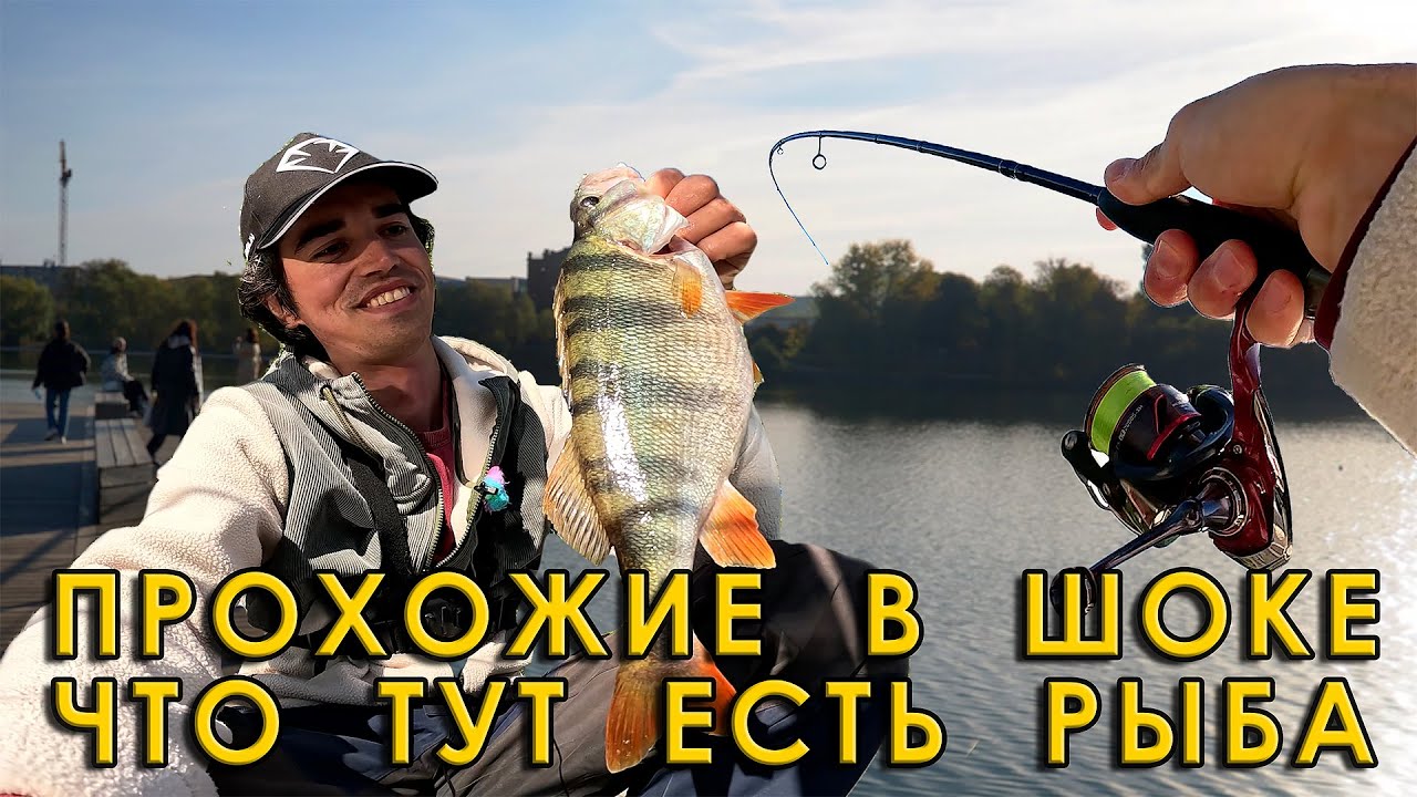 Ловлю толстых окуней! Трофейный микроджиг в центре Казани.