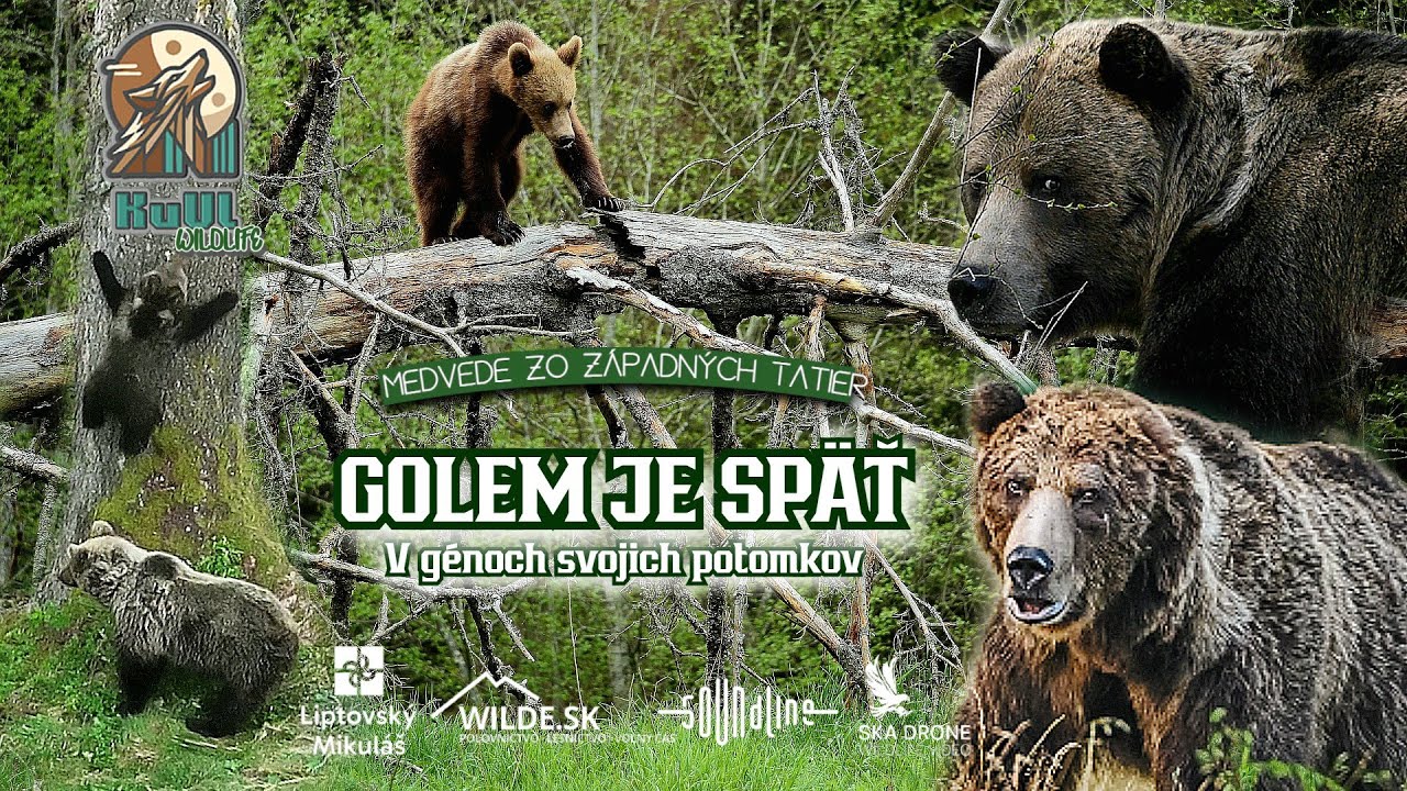 GOLEM JE SPÄŤ. V GÉNOCH SVOJICH POTOMKOV