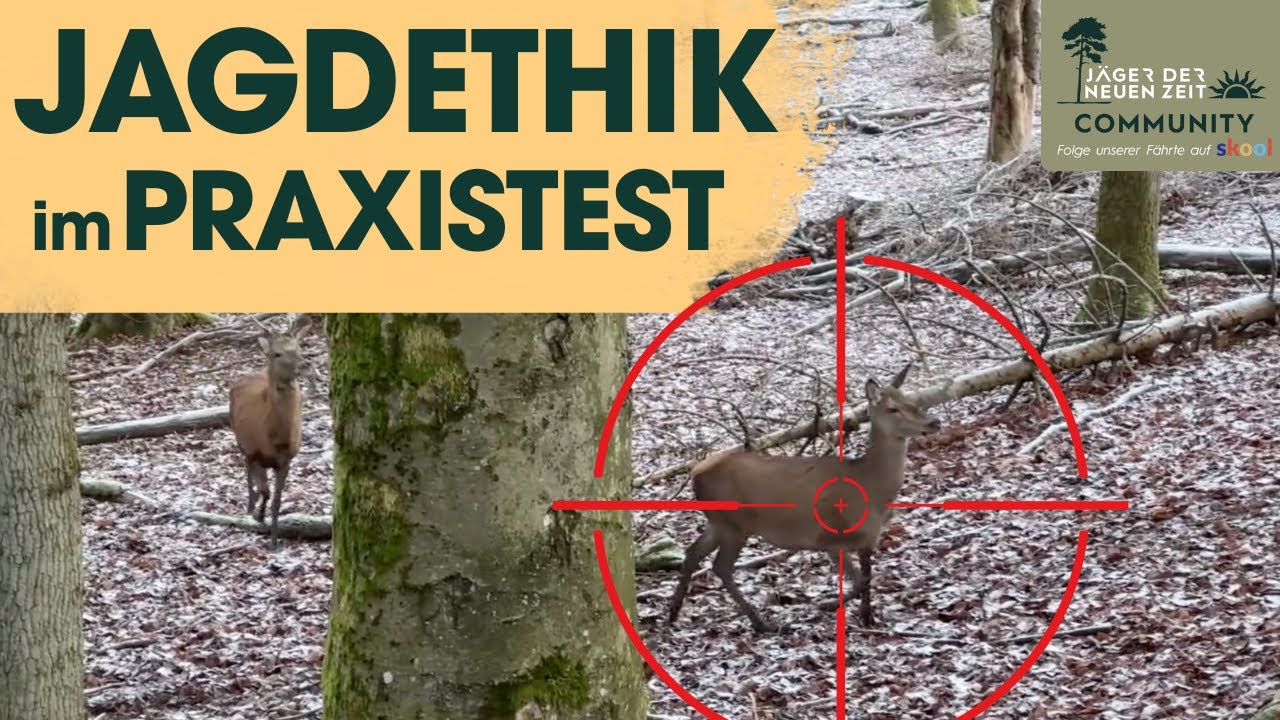 Weidgerechte KAHLWILDBEJAGUNG auf DR&Uuml;CKJAGDEN. Video erkl&auml;rt korrekte Vorgehensweise.