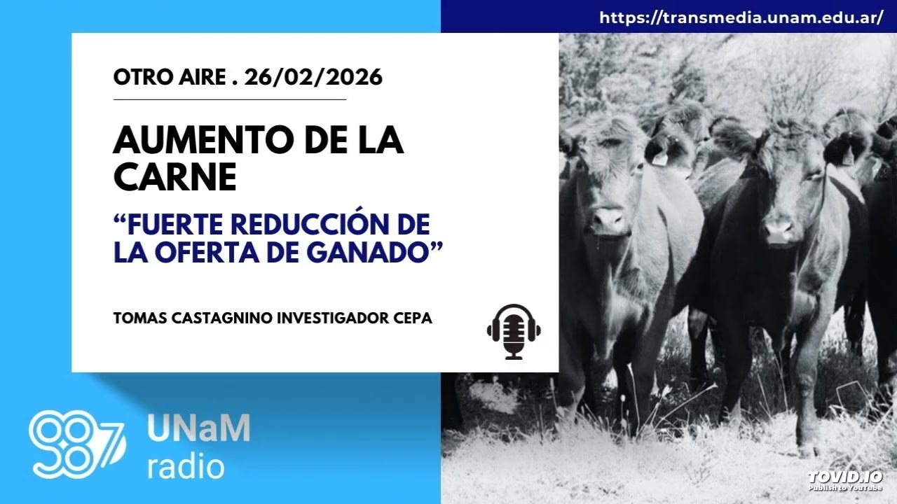 Tomas Castagnino. La carne vacuna cada vez más cara