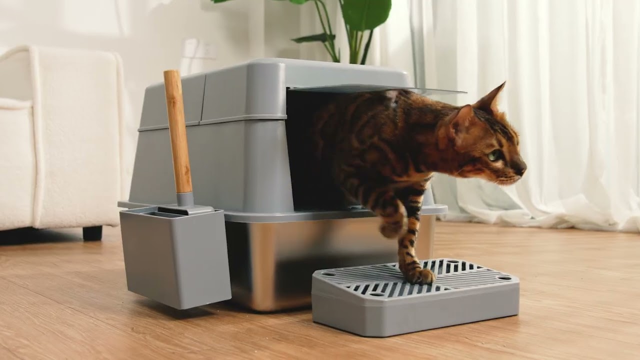 Amazon Product Video - Pet Product