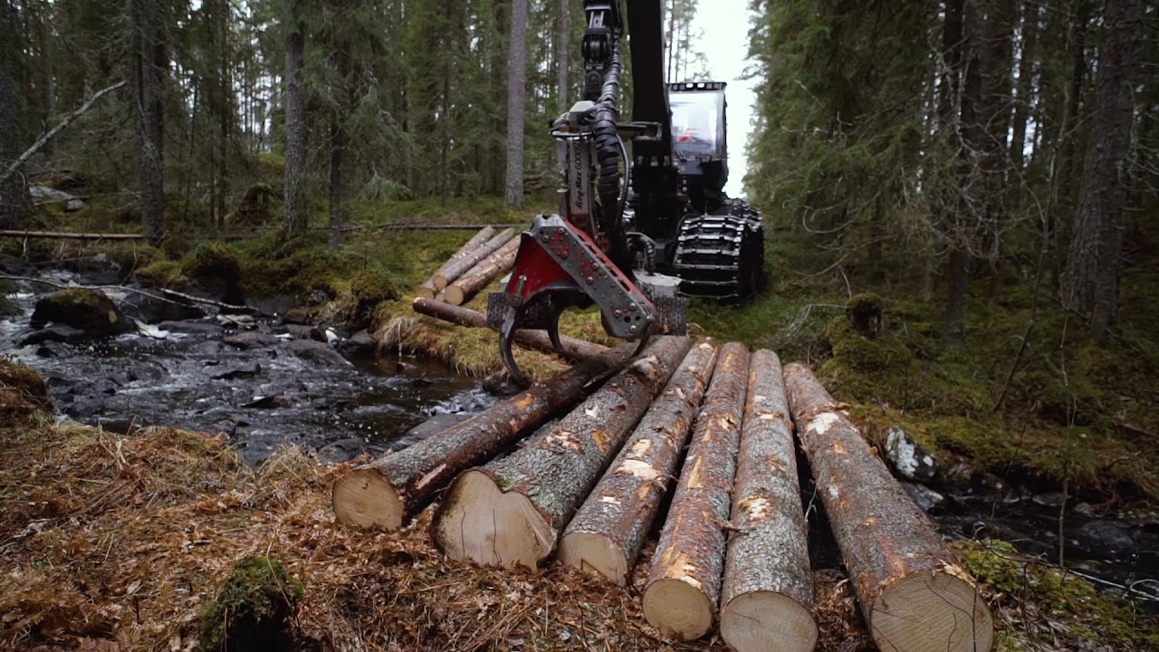 SCA Brobygge vid föryngringsavverkning
