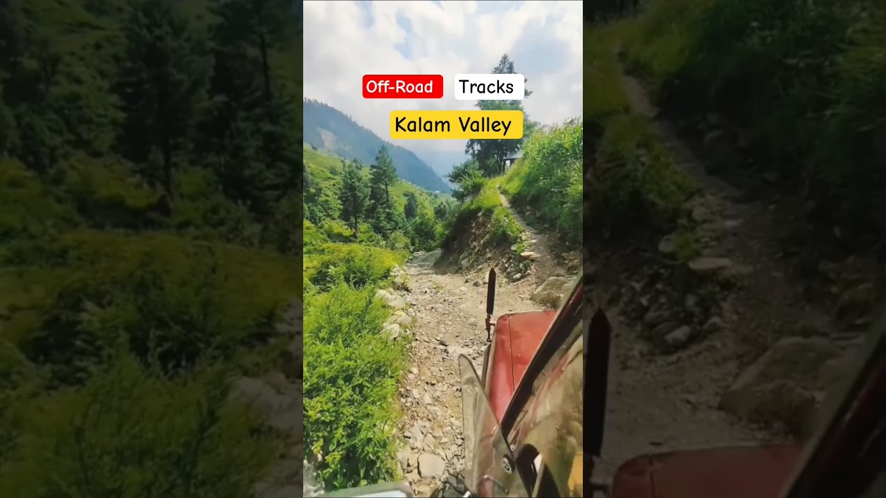 Off-Road tracks in Kalam Valley Pakistan 🇵🇰#travel #shorts