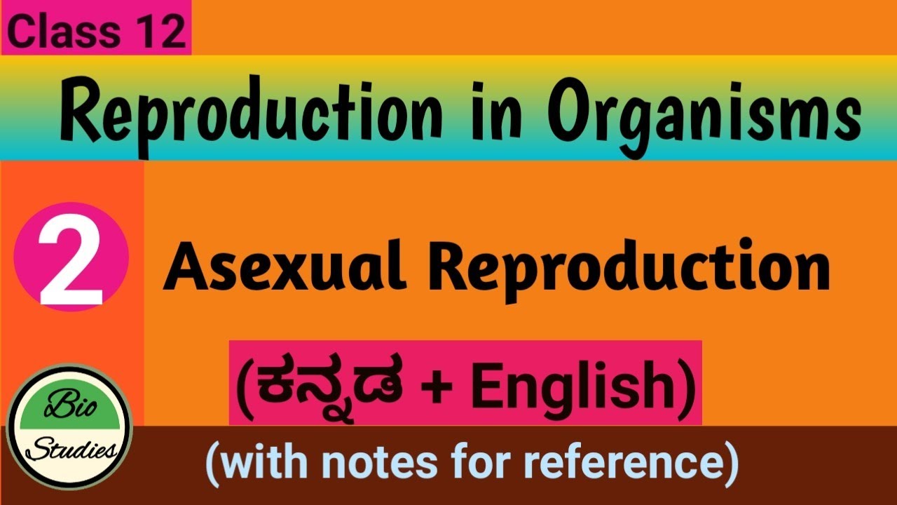 Class 12 - Reproduction in organisms - 02 - Asexual Reproduction