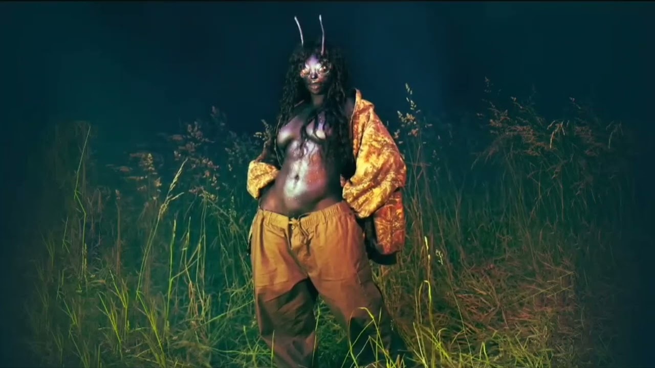 SZA - Nightbird