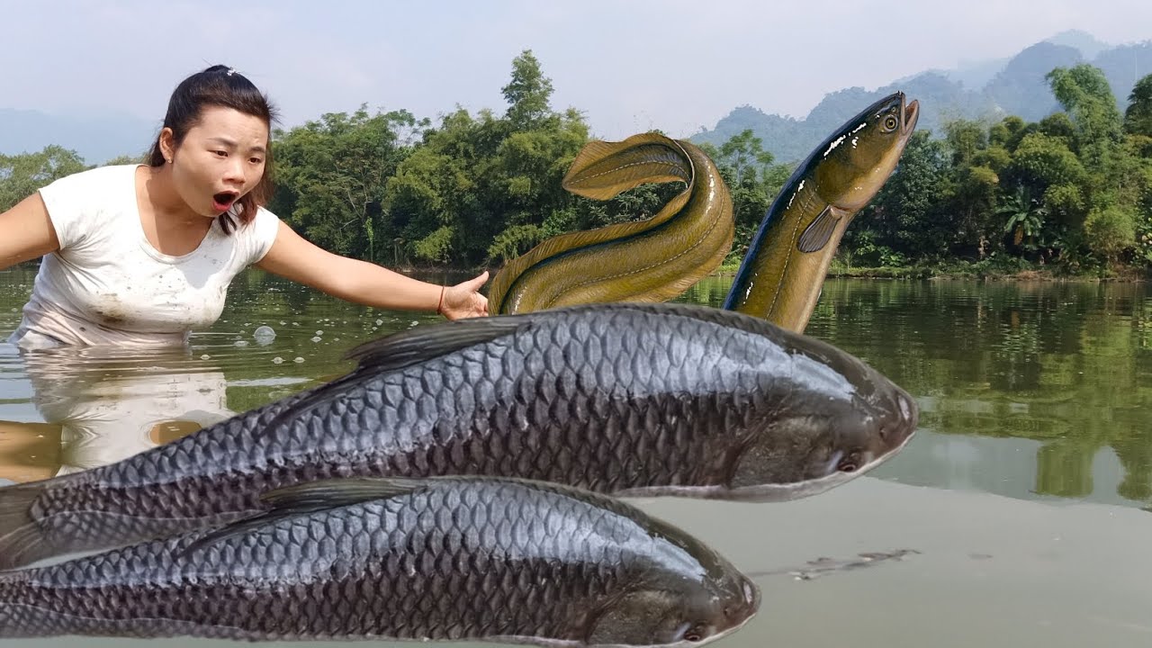 Top video: Using water pumps to catch fish, survival fish traps,using unique fish catching nets