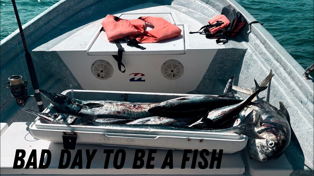Episode One: A bad day to be a fish.