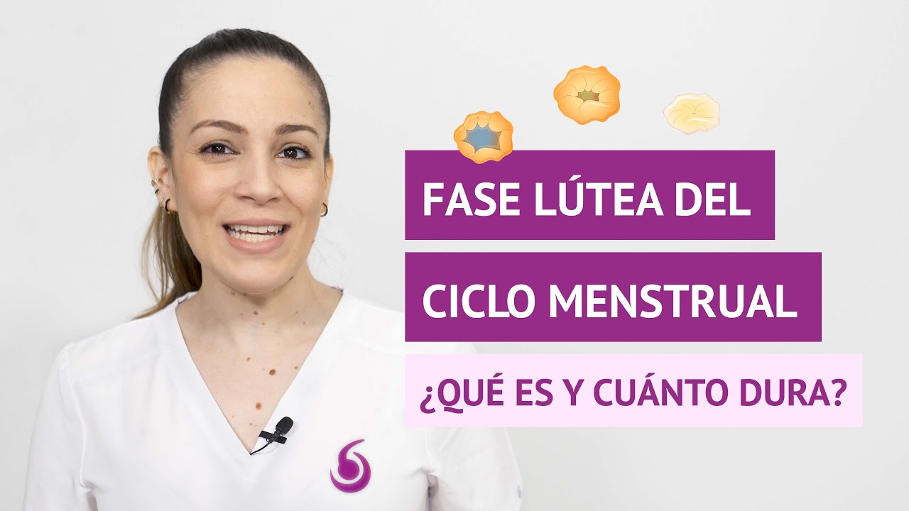 ¿Qué es y cuánto dura la fase lútea del ciclo menstrual?