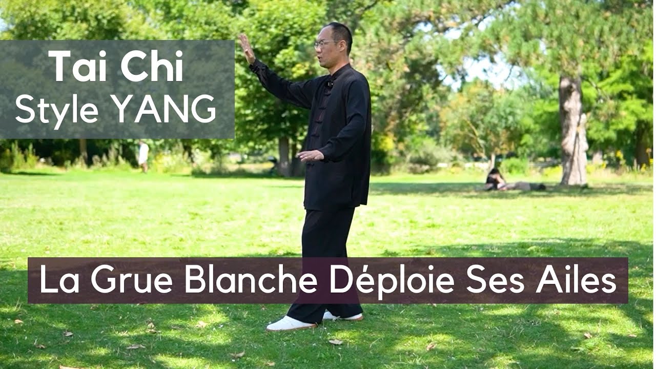 Apprendre Tai Chi Étape par Étape: La Grue Blanche Déploie Ses Ailes Explication et Démonstration