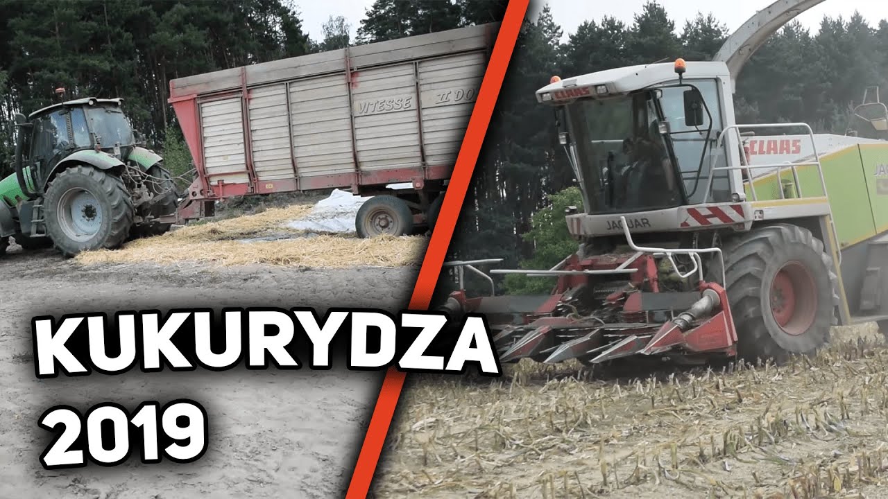 Akcja KUKURYDZA 2019 v2