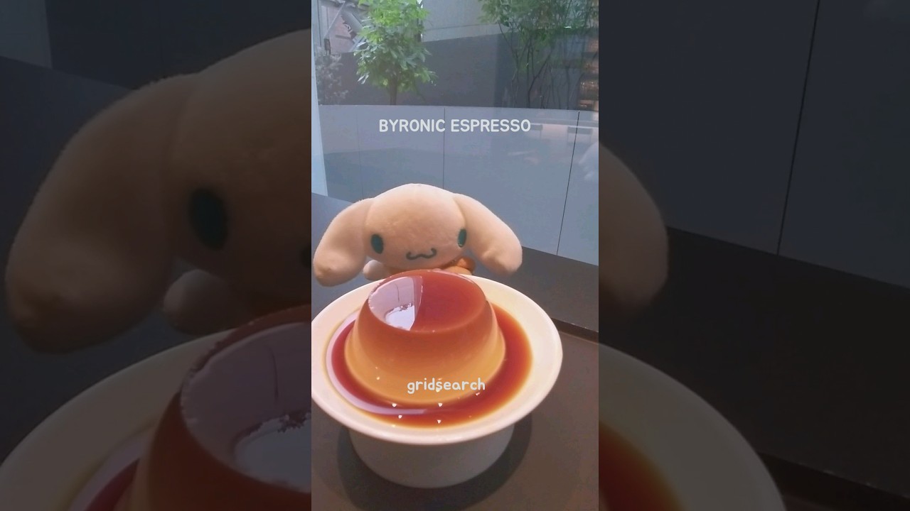 Pudding Expedition | BYRONIC ESPRESSO 