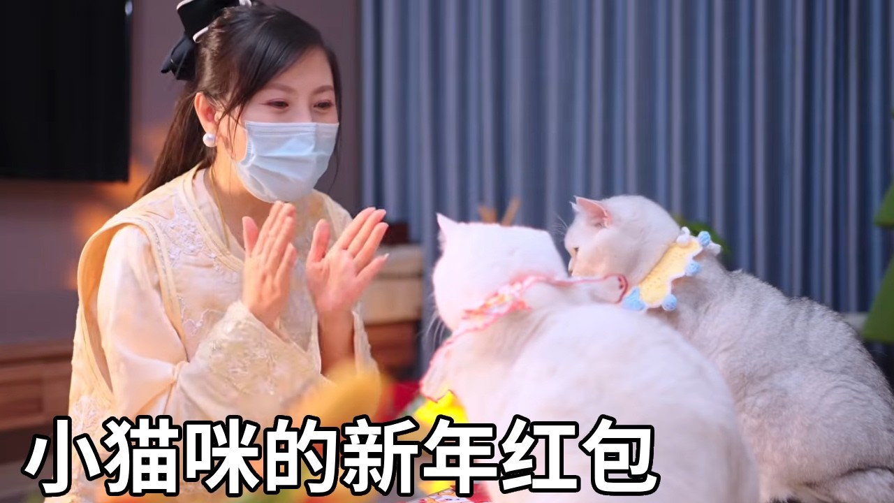 小猫咪的新年红包 【七宝小圆子】