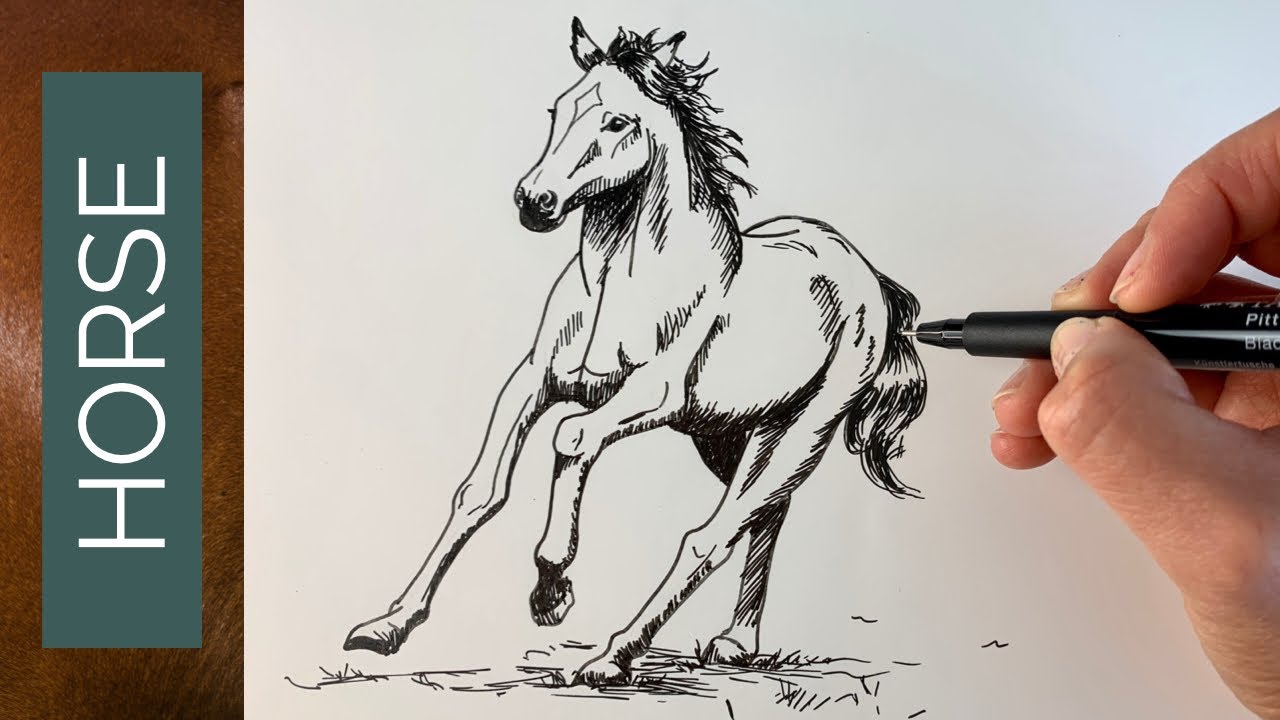 How to draw a HORSE cantering