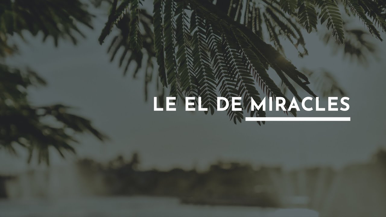 Le El De Miracles (Version Album) - Partage Inspiration