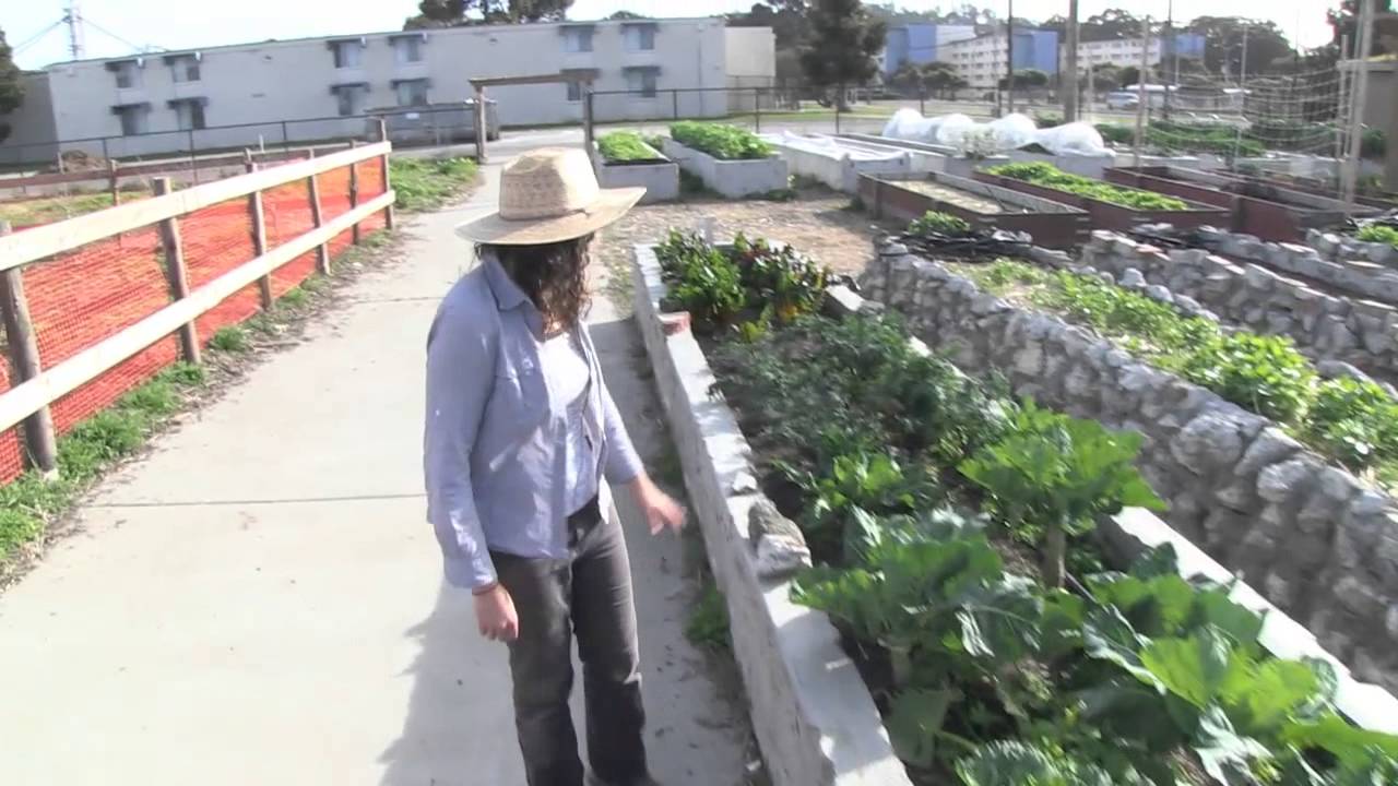 Treasure Island Job Corps: Corey Block