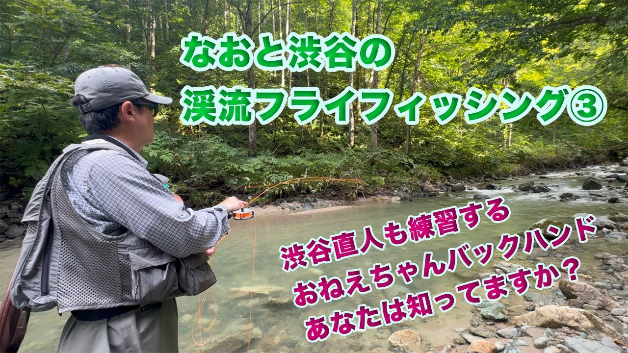 なおと渋谷の渓流フライフィッシング③【渋谷直人の華麗なアブ取り網捌き！　後半に有料級の解説も有るよ】