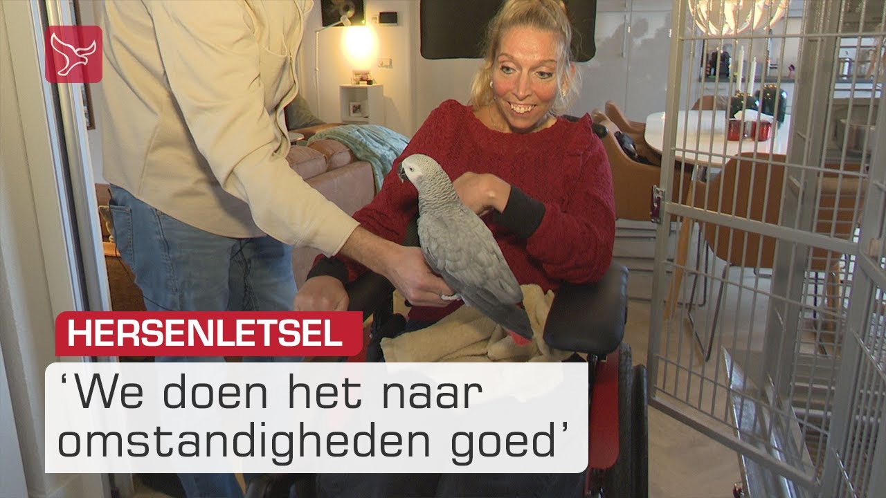 Lotte uit Zeewolde leeft met zwaar hersenletsel: 'We doen het goed' | Omroep Flevoland