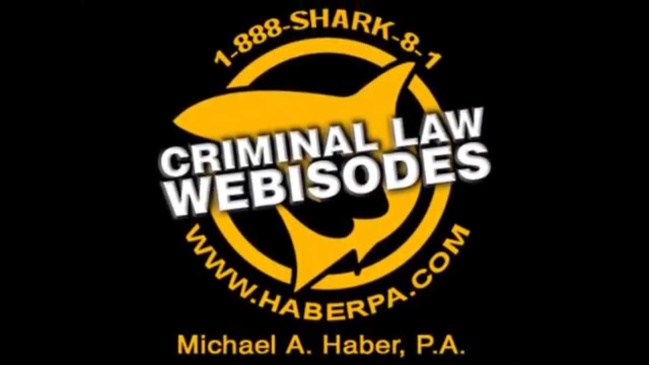 45) Your 5th Amendment Privilege Against Self Incrimination? Michael A Haber Miami Criminal Lawyer