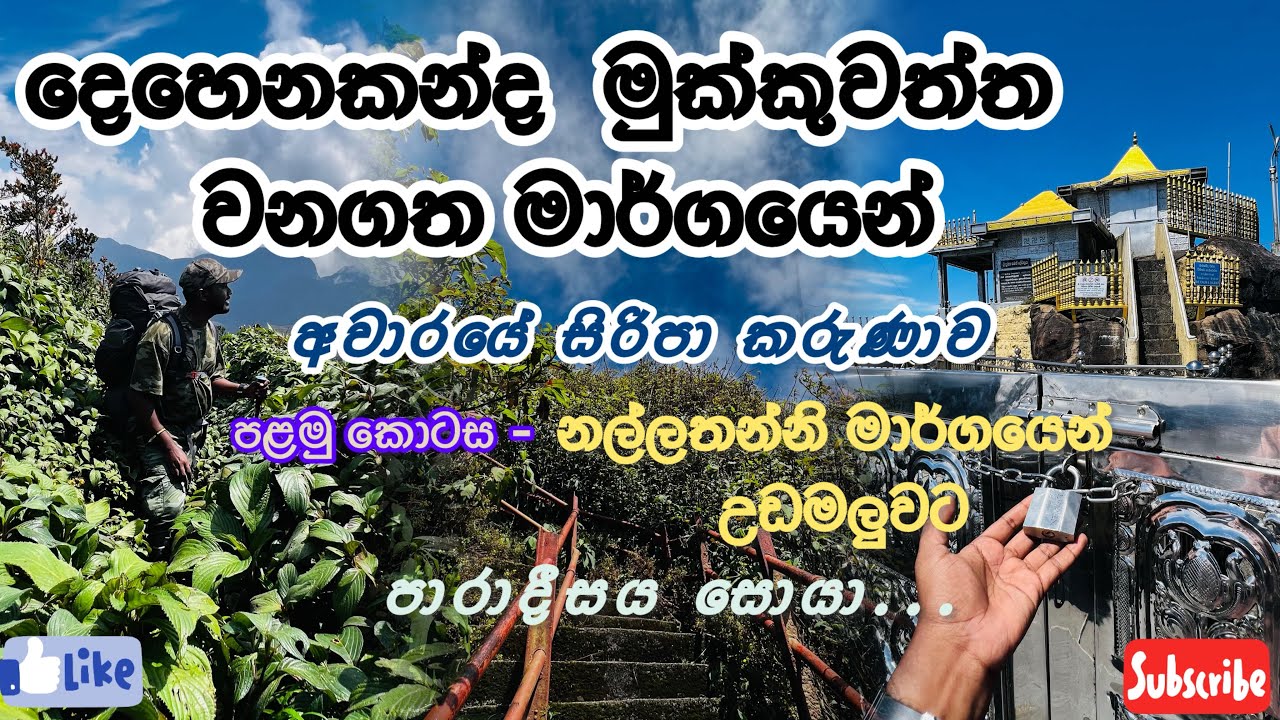 දෙහෙනකන්ද මුක්කුවත්ත මාර්ගයෙන් අවාරයේ සිරිපා කරුණාව 🍃✨❤️‍🩹🇱🇰 | පළමු කොටස | නල්ලතන්නියෙන් උඩමලුවට ✨🍃