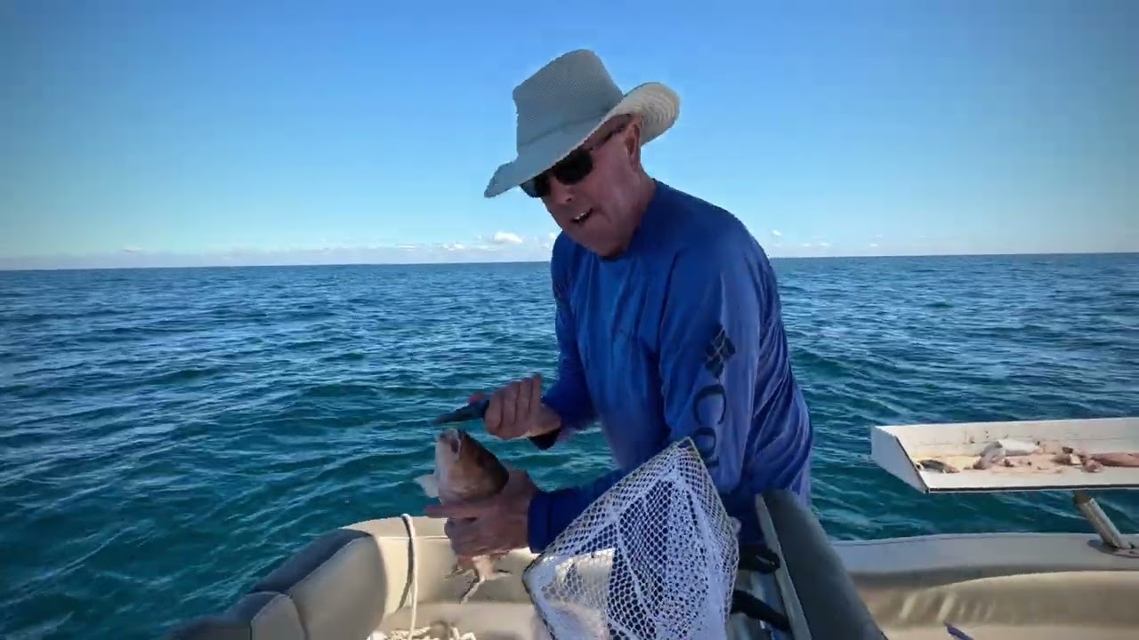Hogfish and Mangrove Snapper