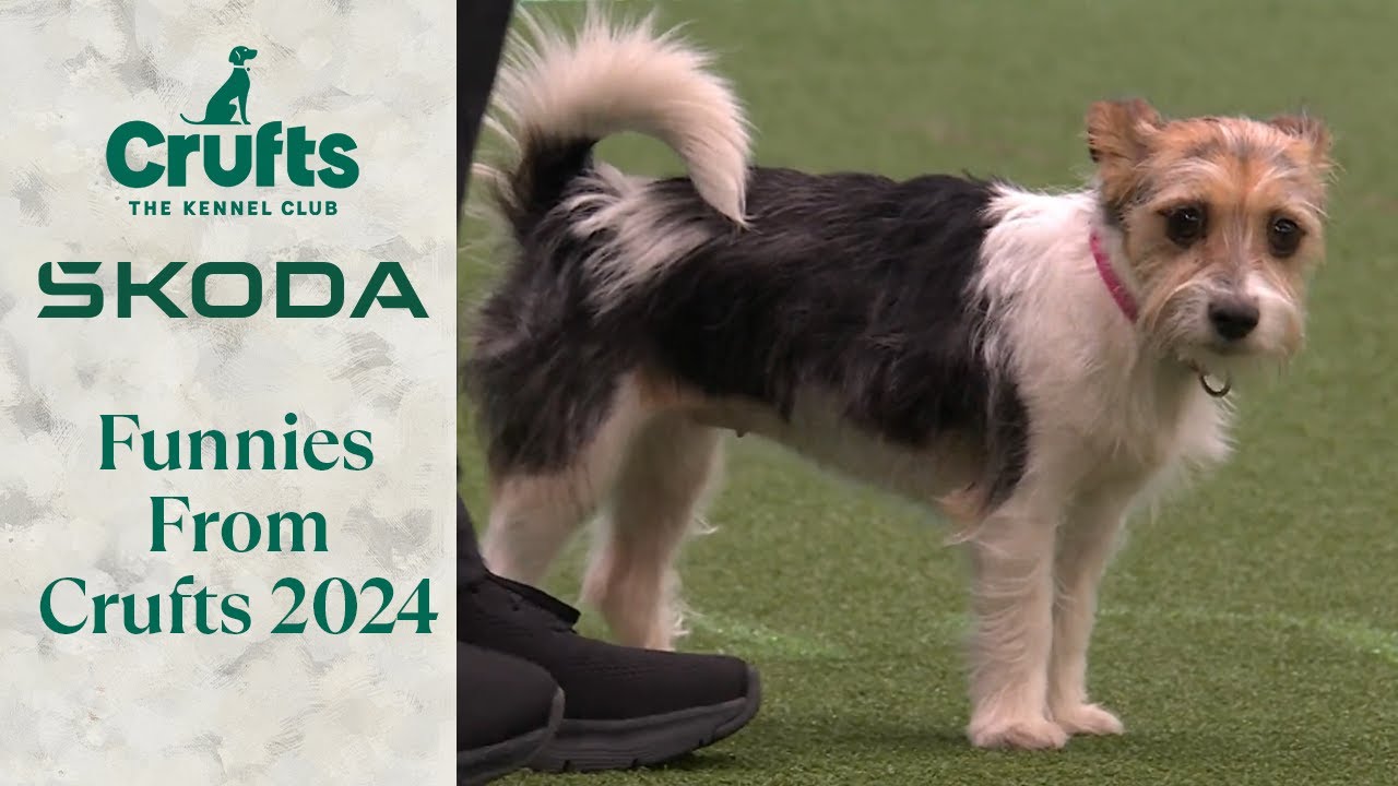 Crufts 2024 Bloopers 😂