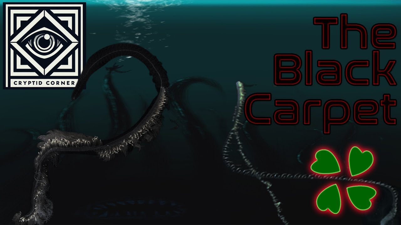 The Black Carpet | 4Chan's Deep Sea Anomaly