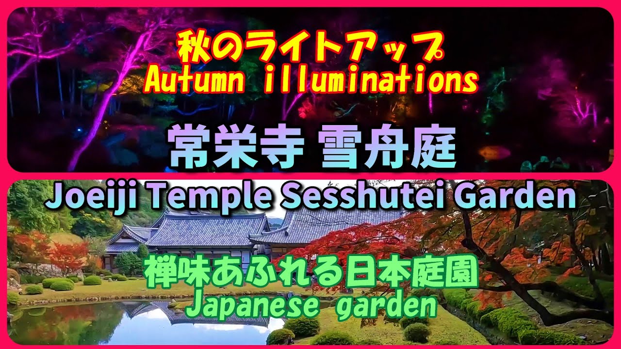 4K常栄寺「雪舟庭」禅味あふれる日本庭園・秋のライトアップ（山口市）Joeiji Temple Sesshutei Garden (Yamaguchi City)
