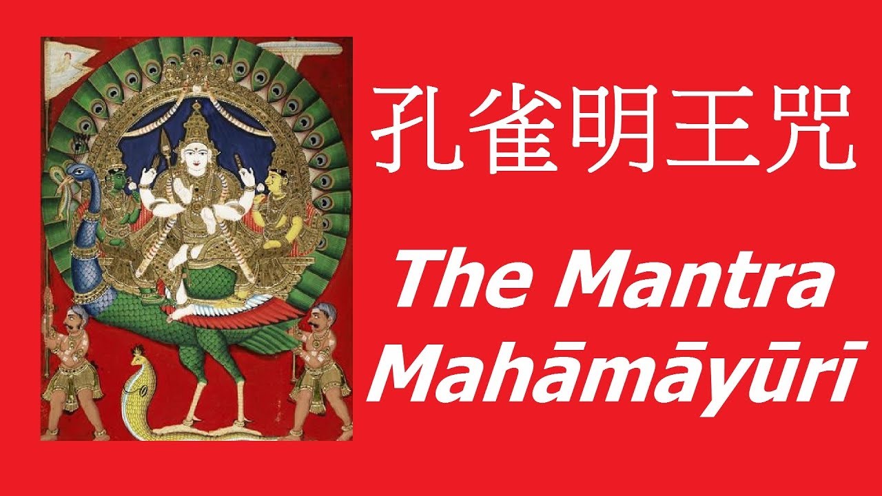🙏念佛積福↗ ☀️ 靜慮減壓↘｜開心唱誦【孔雀明王咒】一小時；據記載：孔雀明王——摧伏毒害煩惱，能滅一切惡毒，能除一切毒類。/ The Mantra of Mahāmāyūrī 1 Hour