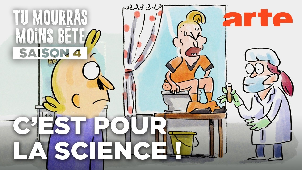 Anatomie d'une chute… dans le foot  | Tu mourras moins bête | ARTE
