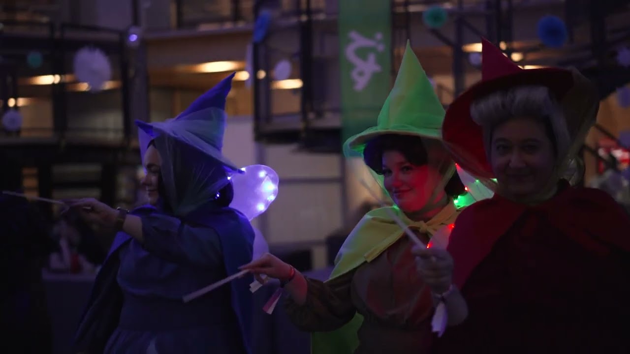 Desucon Frostbite 2025 Kooste