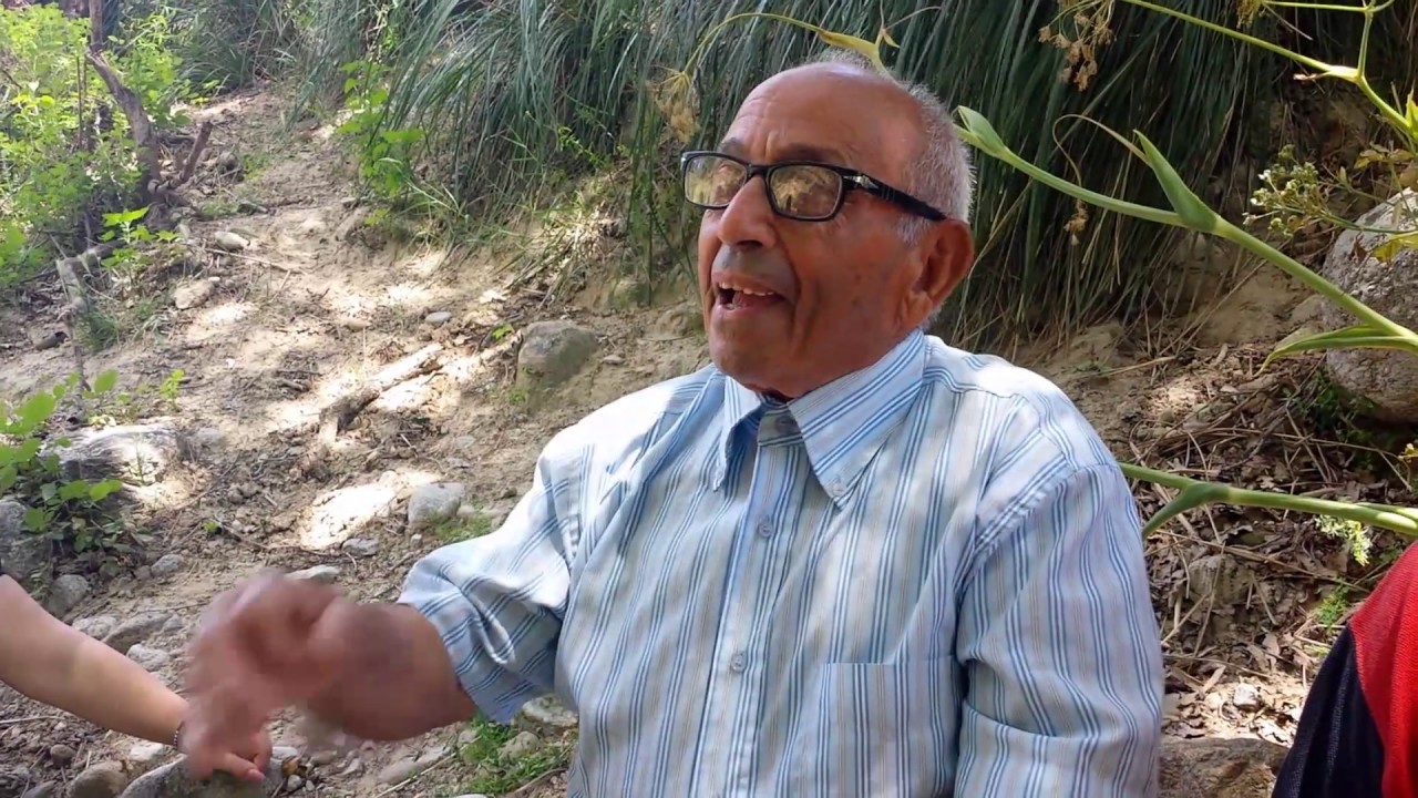 P.  Favasuli: 