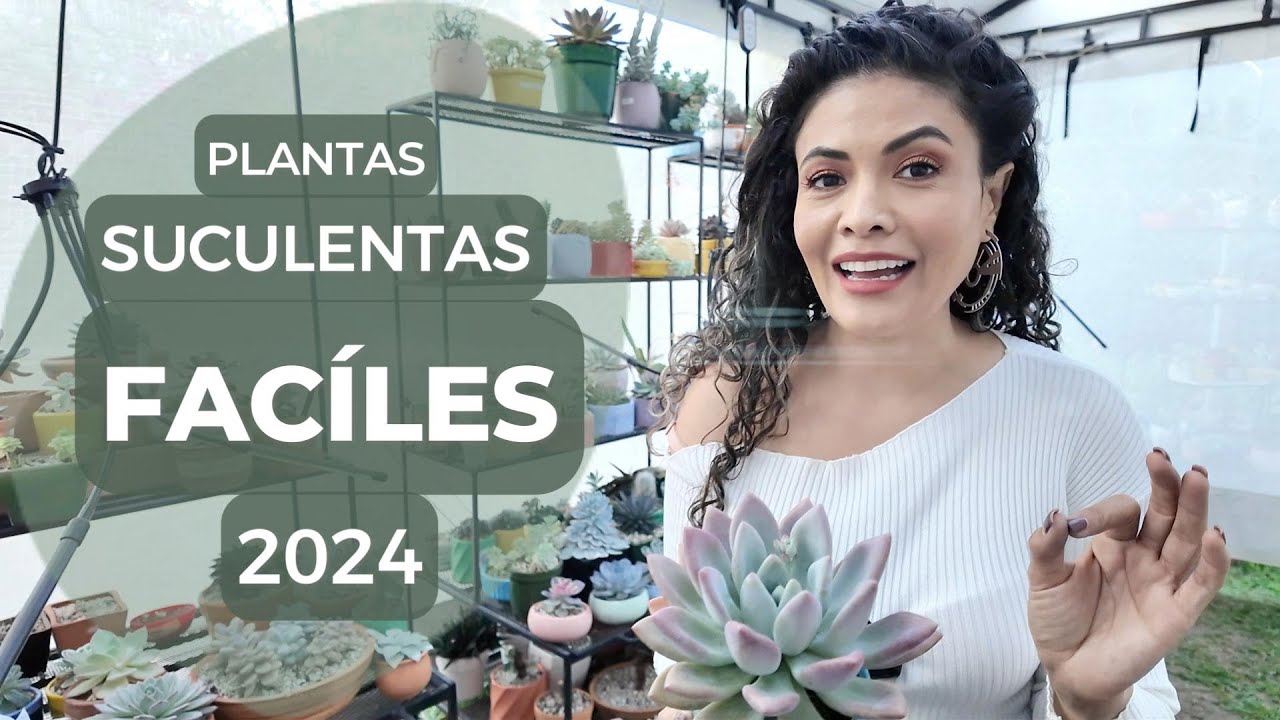 🎍😍HAY SUCUS DE SUCUS, EN ÉSTE VIDEO TE DEJO LAS QUE EN MI CASO HAN SIDO MAS FÁCILES DE CUIDAR🤗👩‍🌾👨‍🌾