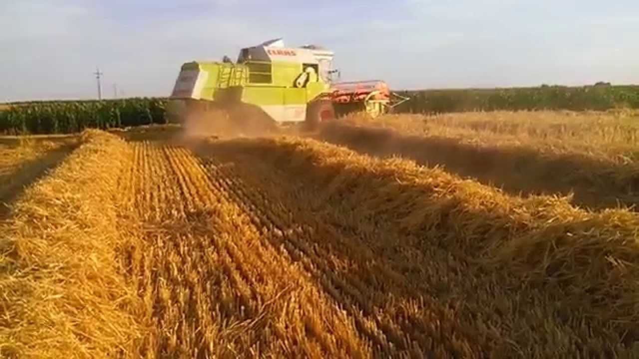 PODSUMOWANIE SEZONU 2014-WIELKOPOLSKA