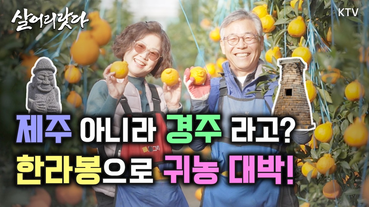 (경북 경주/369회) 여기, 제주 아닐지어도 주황빛 익어가는 인생ㅣ#KTV #살어리랏다 #귀농귀촌 #한라봉