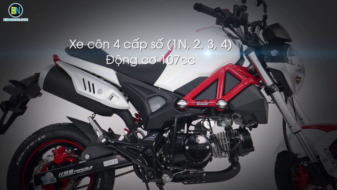 Tổng quan Ducati Mini Monster 110 ► Đối thủ MSX về gi&aacute; tốt