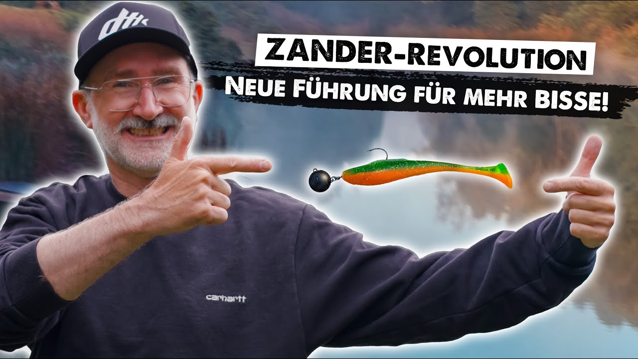 OHNE Absinkphase! DAS macht das ZANDER-Gehirn KAPUTT!!