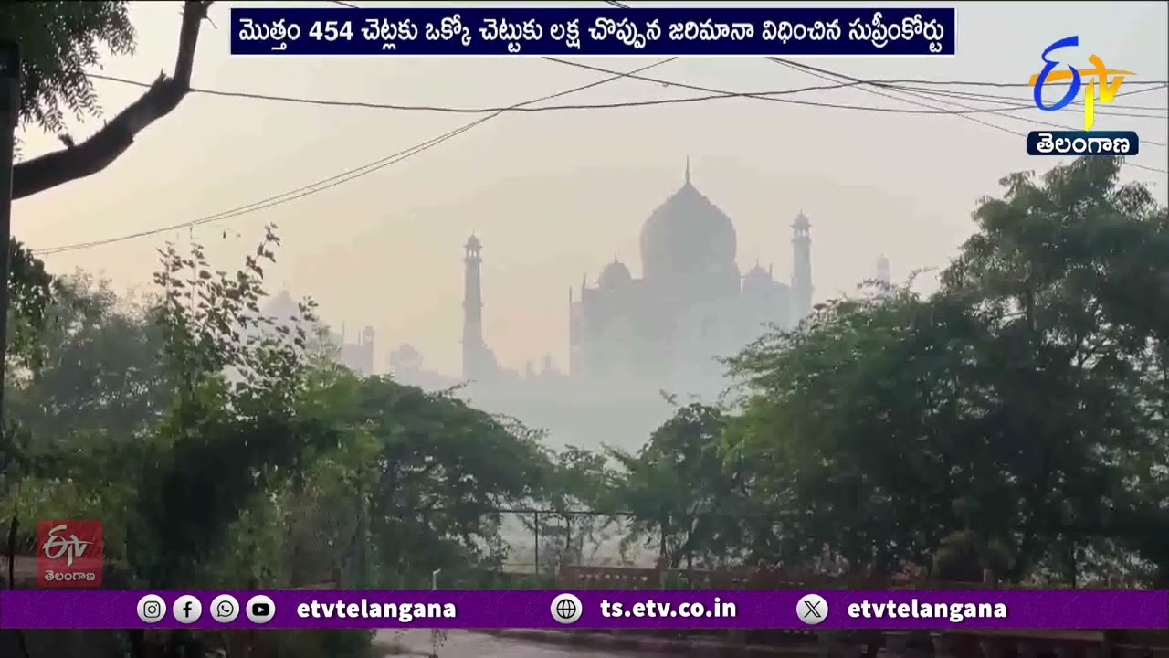Cutting Large Number Of Trees Worse Than Killing Humans | SC | చెట్లను నరకడం..మనిషి హత్య కంటే దారుణం