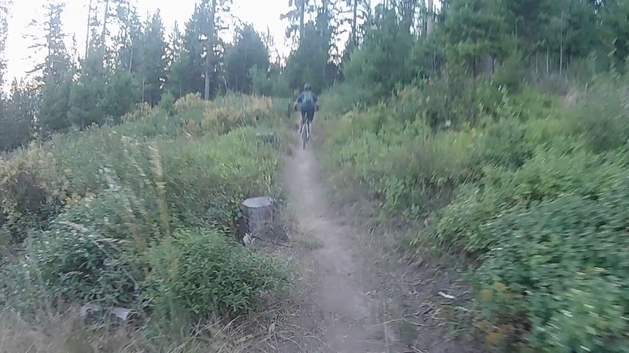 MOUNTAIN BIKING LA GRANDE, OR; MOUNT EMILY RECREATION AREA MERA: PEBBLES