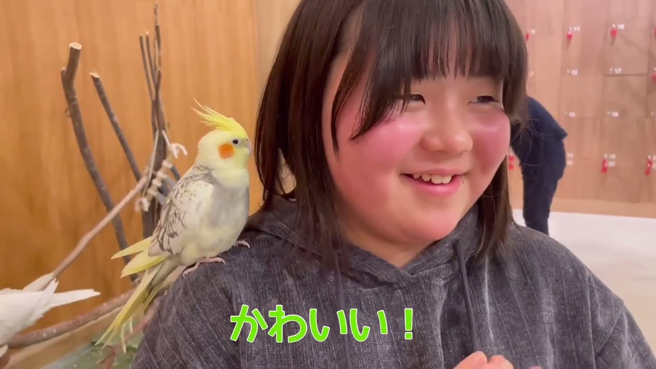 【あずのお誕生日に動物たちと触れ合ってきました😁】