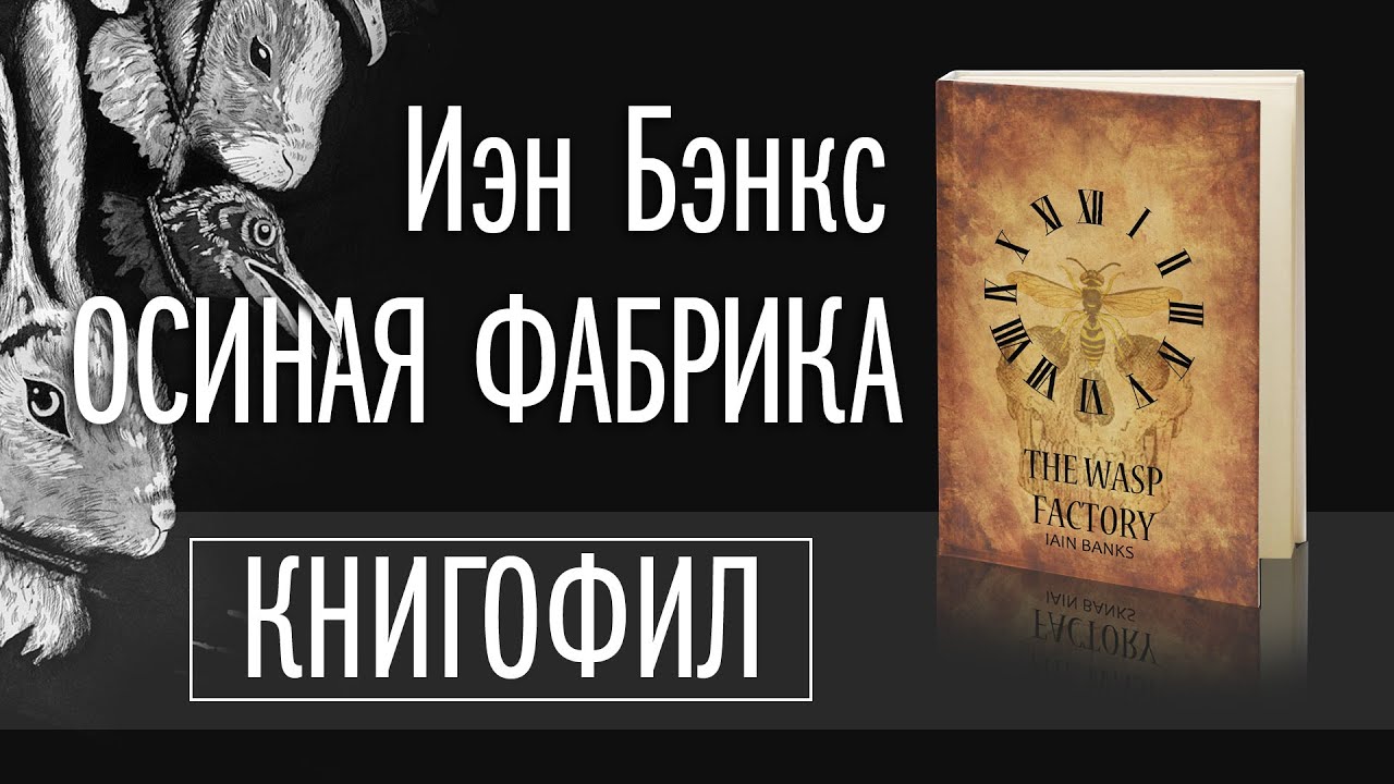 Обзор романа 