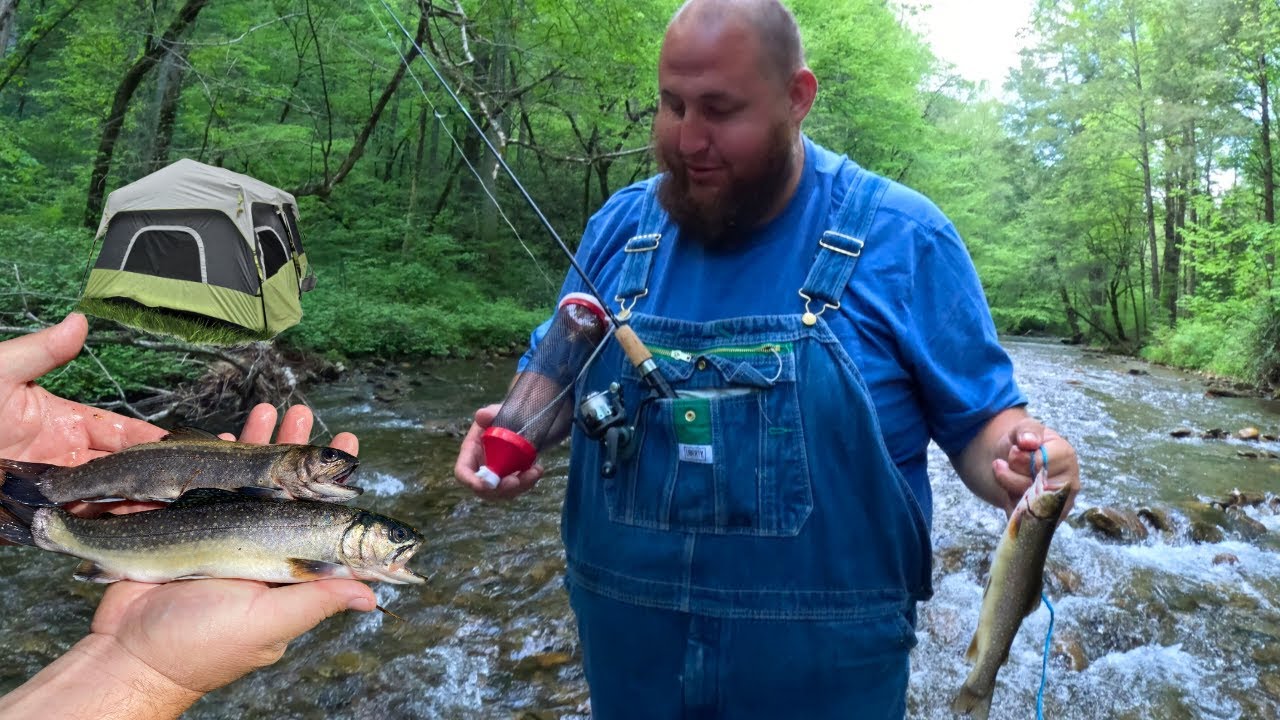 CAMPING and Trout FISHING in the North GEORGIA mountains (Helen, GA) | Catch, Camp, Cook