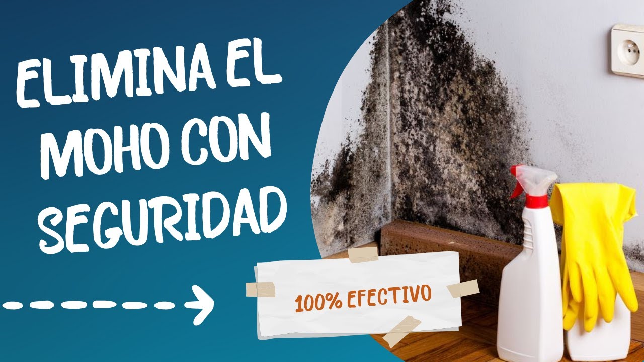 C&Oacute;MO QUITAR EL MOHO DE UNA PARED o BA&Ntilde;O ( c&oacute;mo evitar que aparezca el moho )