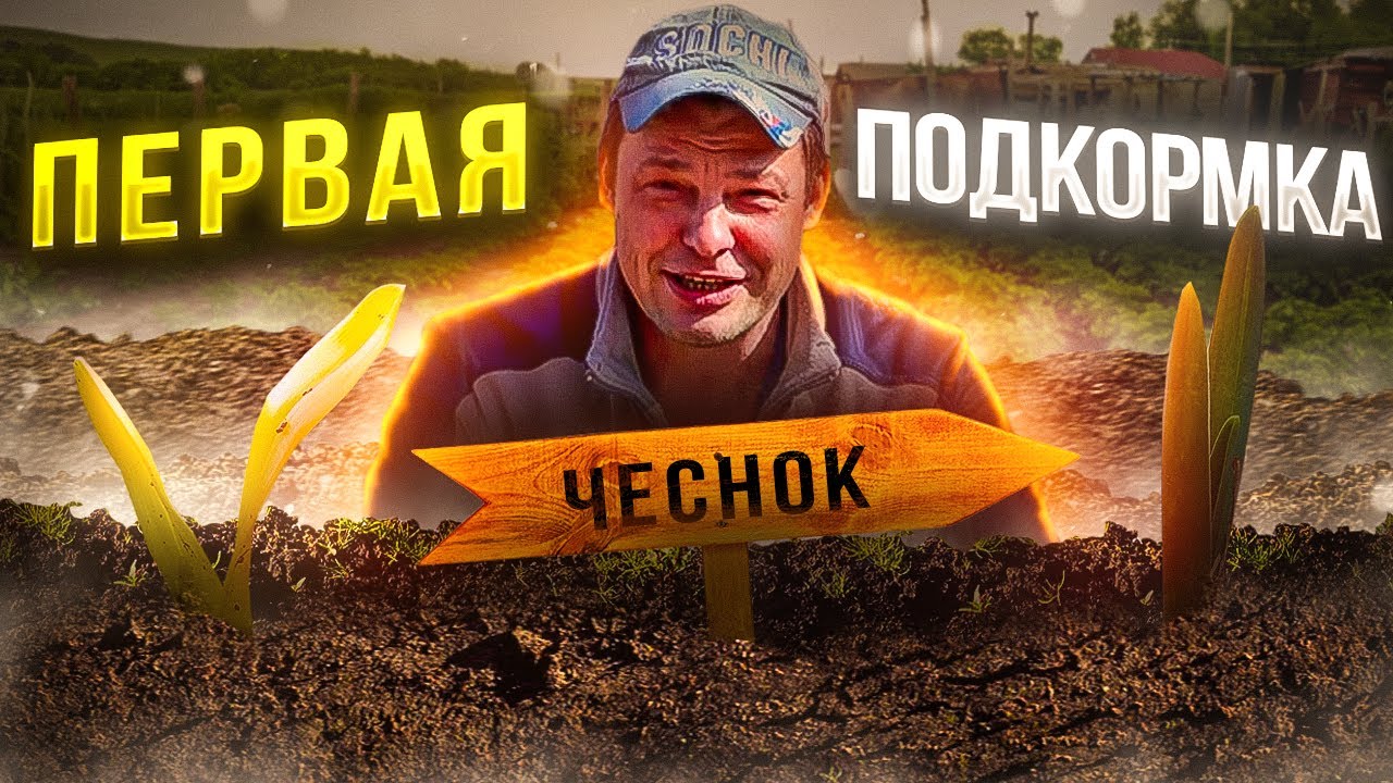5 минут и чеснок не пожелтеет весной 4к
