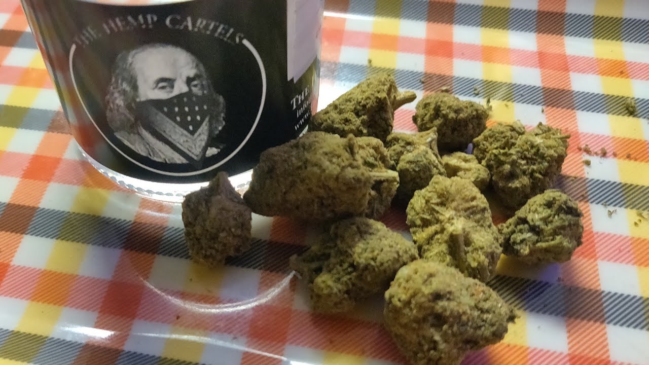 The Hemp Cartels Cryo Cured Gelato Delta 8 Flower strain review! 🌄🍊🔥